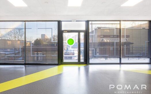 ★Przestrzeń do rozwoju i zdrowego ruchu I Żory★